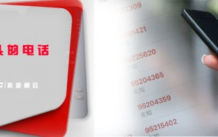 至仲智能科技 接了个“95”号段开头的电话，几十万就没了…