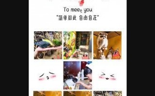 七夕短视频作品怎么制作 七夕题材的小视频制作教程