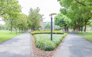 校园绿化短视频制作 发电的校园！校园绿化最优解！学生化身项目经理解决现实问题